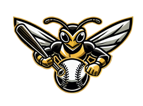Triad Hornets School Logo